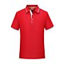 Light Weight Polyester Cotton Embroidered over Sublimation Printing Polo Golf Shirt Polo Shirt With